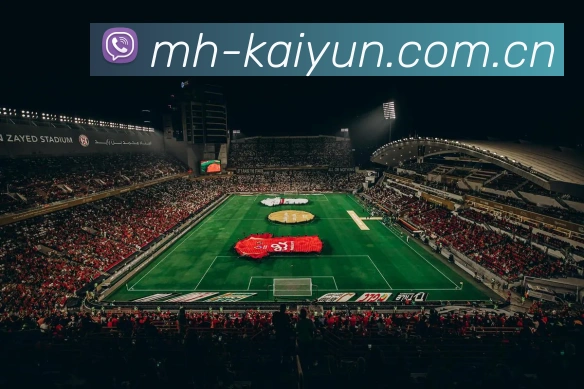 开云体育入口 App